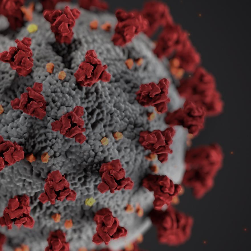 detailed coronavirus