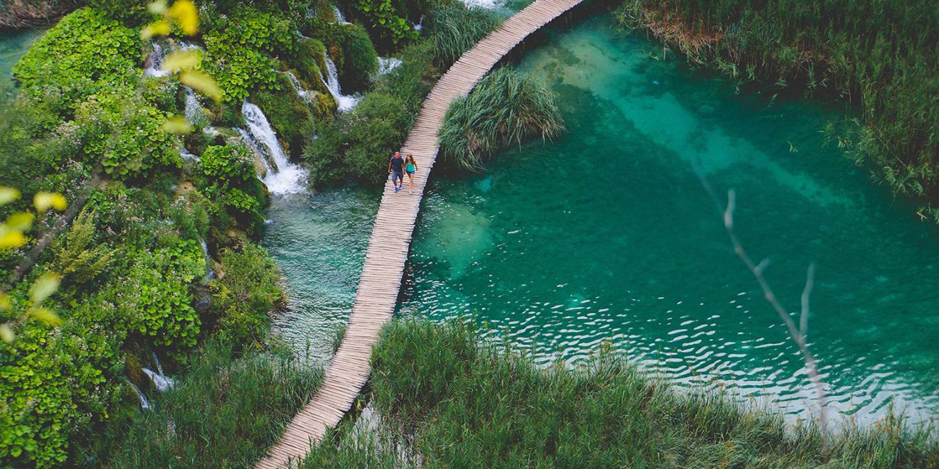 Walkway over a large pond in the bush 