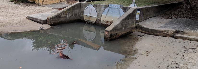 Stormwater drain at Rose Bay