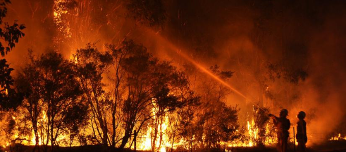 Firefighters putting out a bushfire