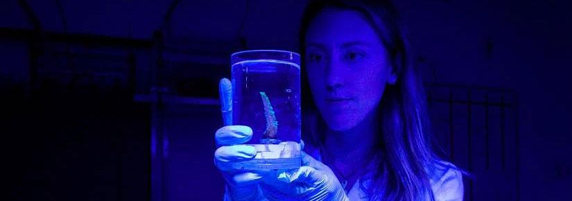 Rolex Awards Laureate Emma Camp conducts analysis on samples inside a special chamber
