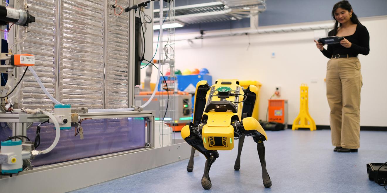 Photo of robot dog