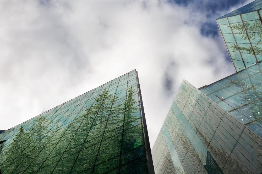 buildings with trees reflected