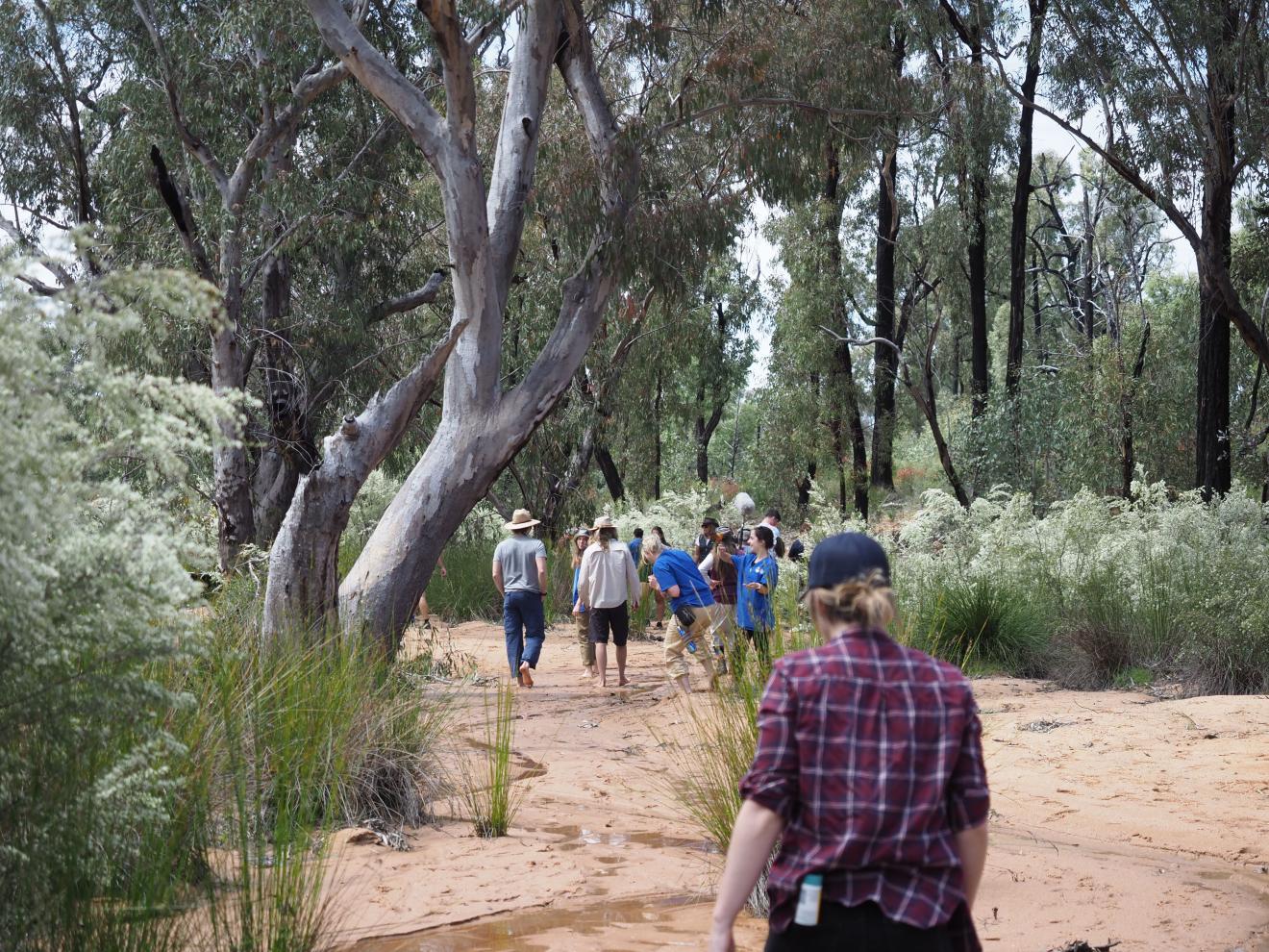 Indigenous families and commiunities walking across their land and through the forest