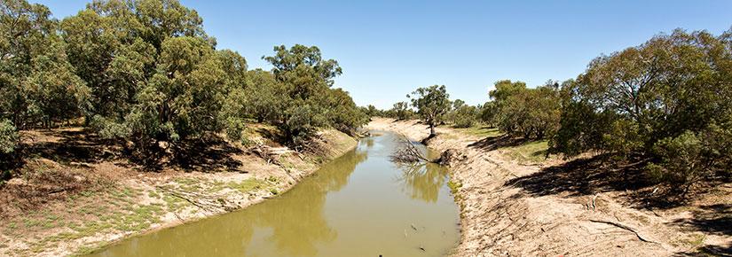 The Darling river at Tilpa in far western NSW. Picture by Downunderphoto/Adobe Stock