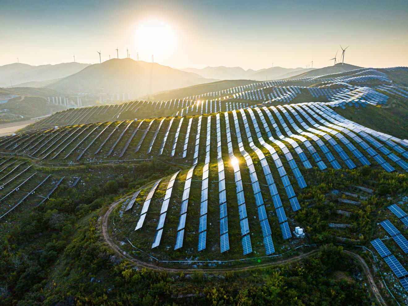 Solar farm with sun rising in the background.