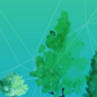 tree graphic