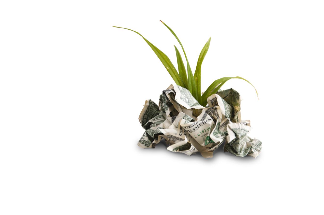 Illustration of a money tree, by Aaron Patterson, Flickr Illustration of a money tree, by Aaron Patterson, Flickr