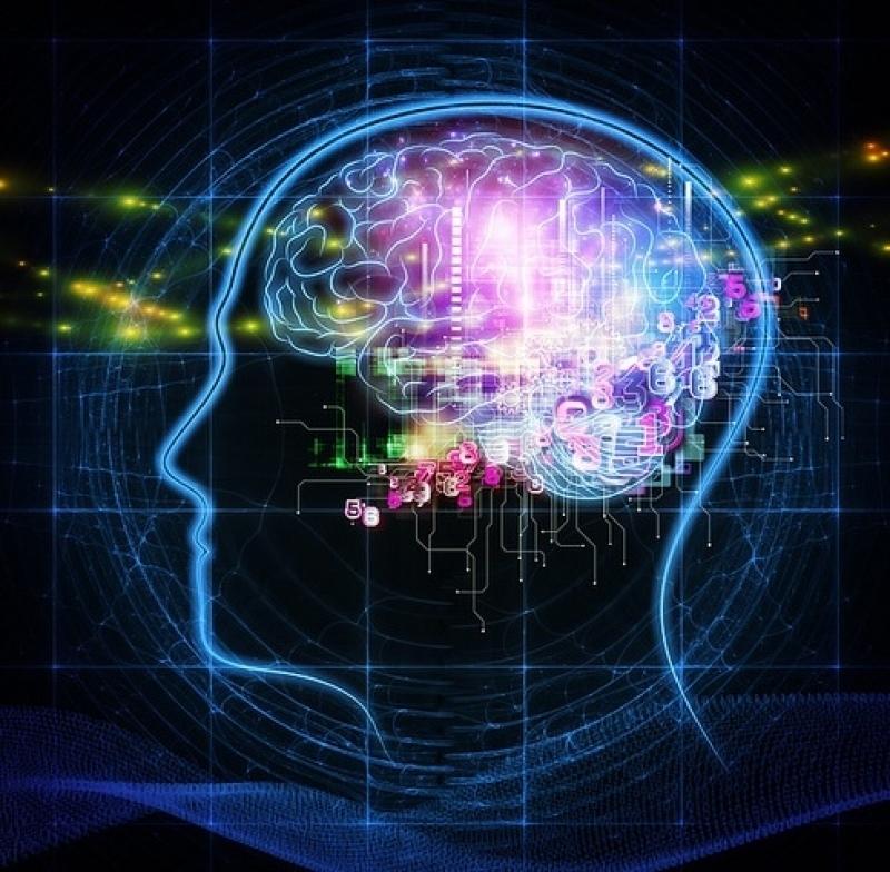 2ser Think:Health program Graphic showing the cognitive processes of the brain
