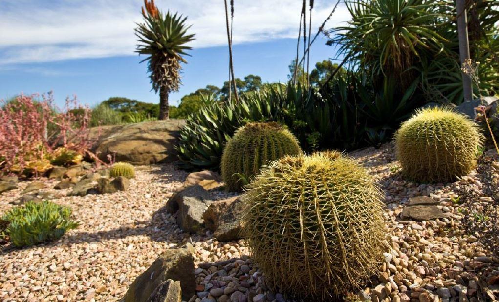 Wollongong Botanic Garden