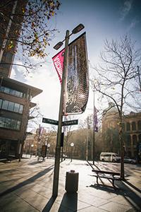 Sunlight hitting the banner surface projects glittering flashes of light onto the Martin Place plaza