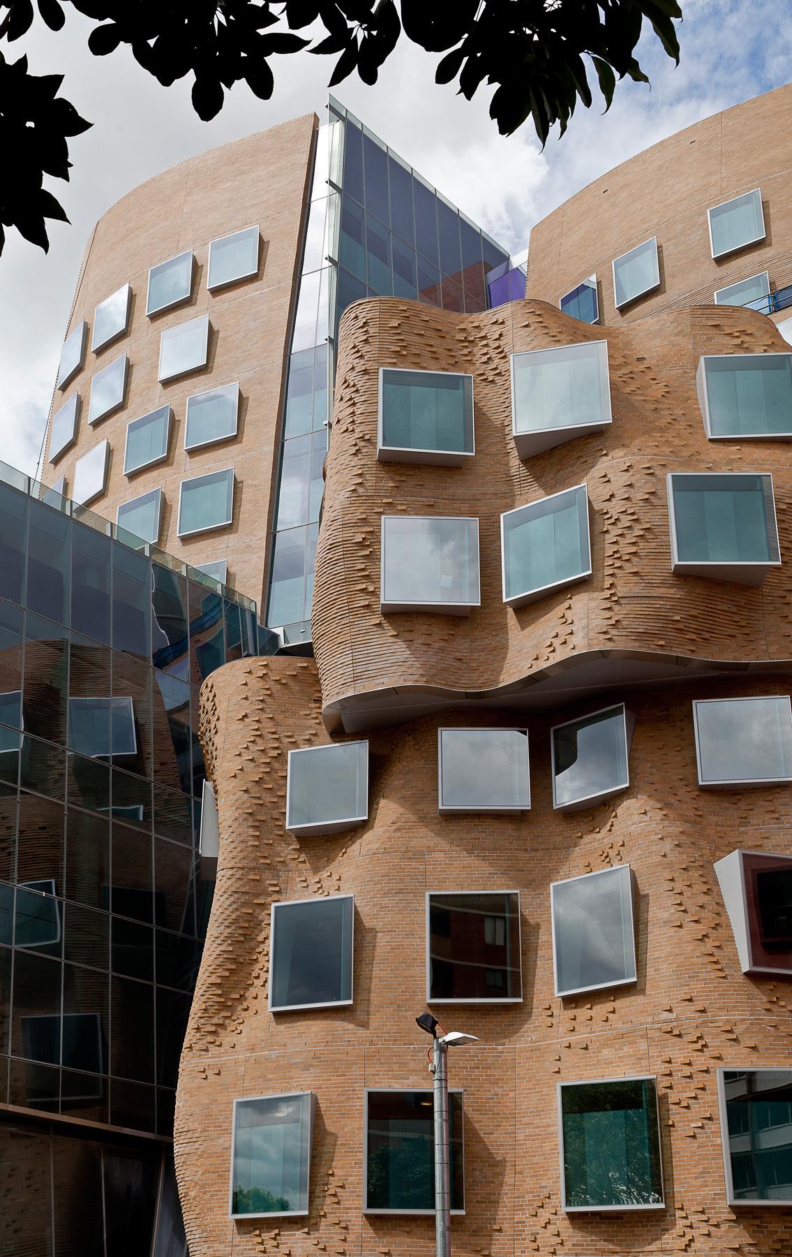 Mary Anne Street - North Canyon. Achieving the fluid appearance of the brickwork proved a technical feat that involved corbelling (stepping) individual bricks to articulate the building’s organic shape. The light-coloured bricks – around 320,000 in total