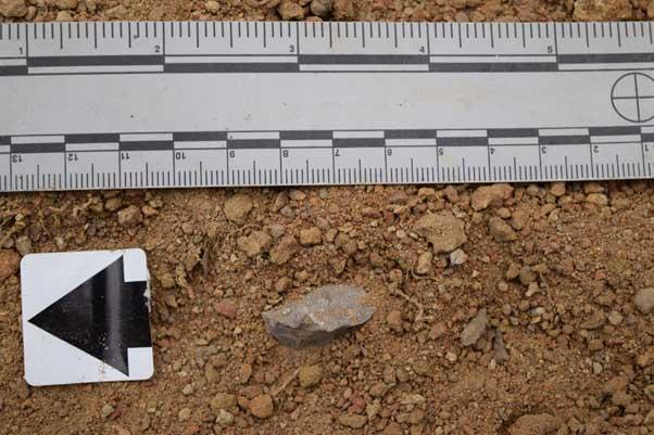 Rock in soil