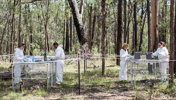 Scientists working at the AFTER facility