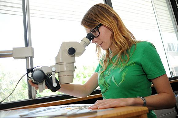 Kirsty Milner working at an internship at CSIRO