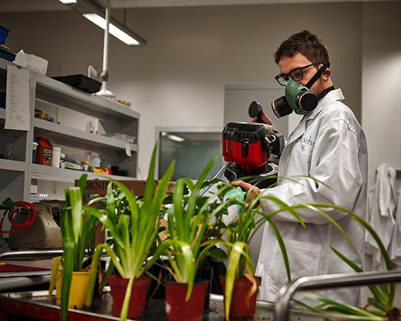 Michael Zavattaro working in lab