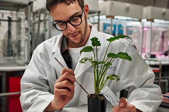 Michael Zavattaro working in lab