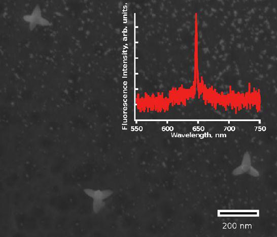 Light matter interaction