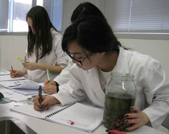 Students working in a lab