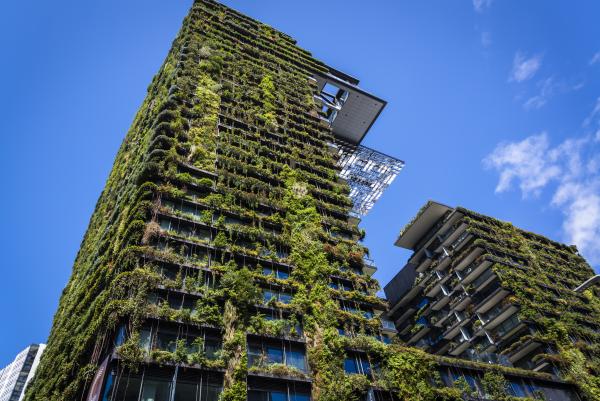 Building with greenery growing on the outside walls