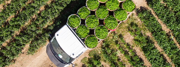 Food truck taking harvest away from crops