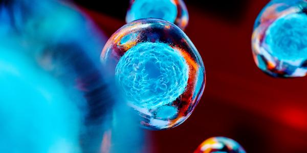Embryonic stem cells and cellular therapy in red and blue tones