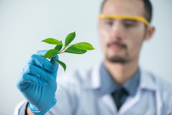 Sustainability