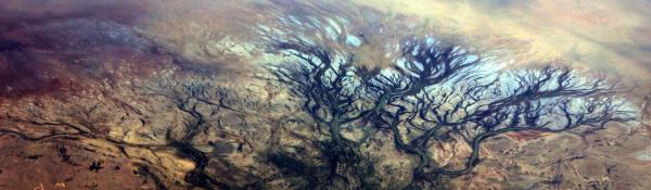 Aerial view of riverine system