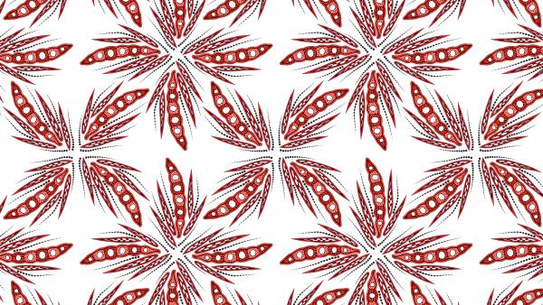 Girra Maa Pattern - Wattle seed repeated 