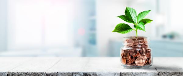 Plants growing out of coin jar on table