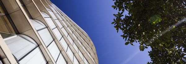 Building, blue sky, tree