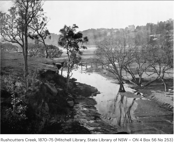 Rushcutters Creek SLNSW