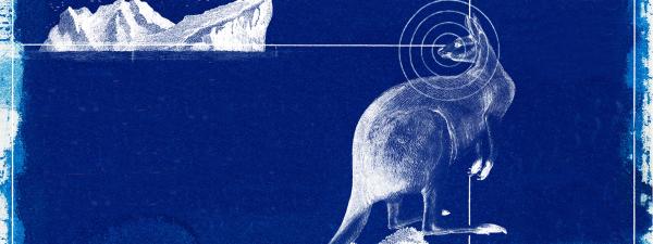 Stylised image of kangaroo and iceberg on blue background