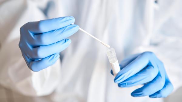 Doctor holding swab test tube