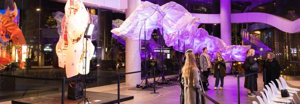 Patterns in nature, a Vivid Sydney sculpture installation