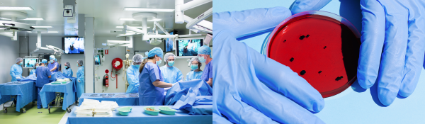 People in Surgical and Anatomical Science Facility (left) and gloved hands holding blood agar plate (right) 