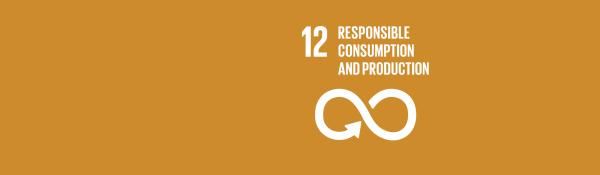 Responsible consumption and production