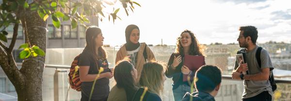 Students standing under a tree talking and laughing