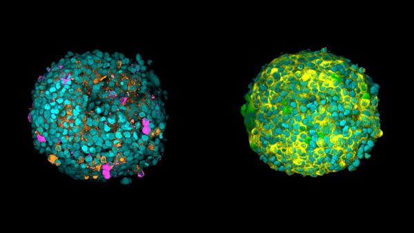 The wonderful, fluorescent, massive world of tiny, invisible things