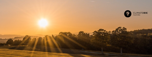 An orange sunrise over a field with trees.