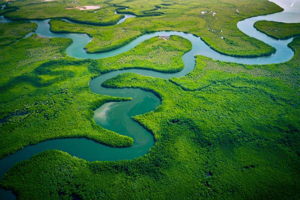 Aerial view of winding river amongst greenery