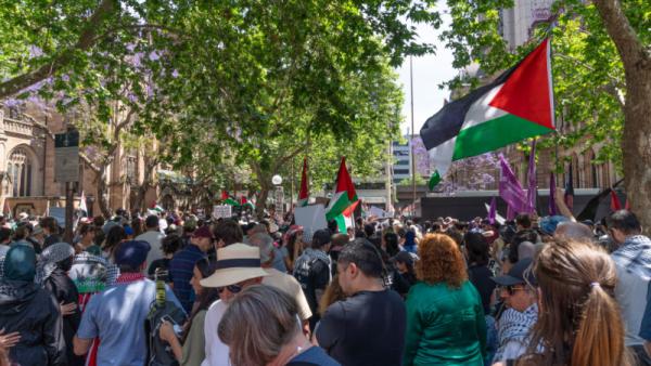 800x450 protest rally at Town Hall in Sydney