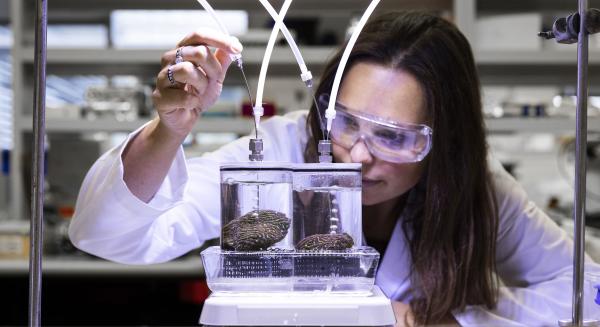 Woman studying coral