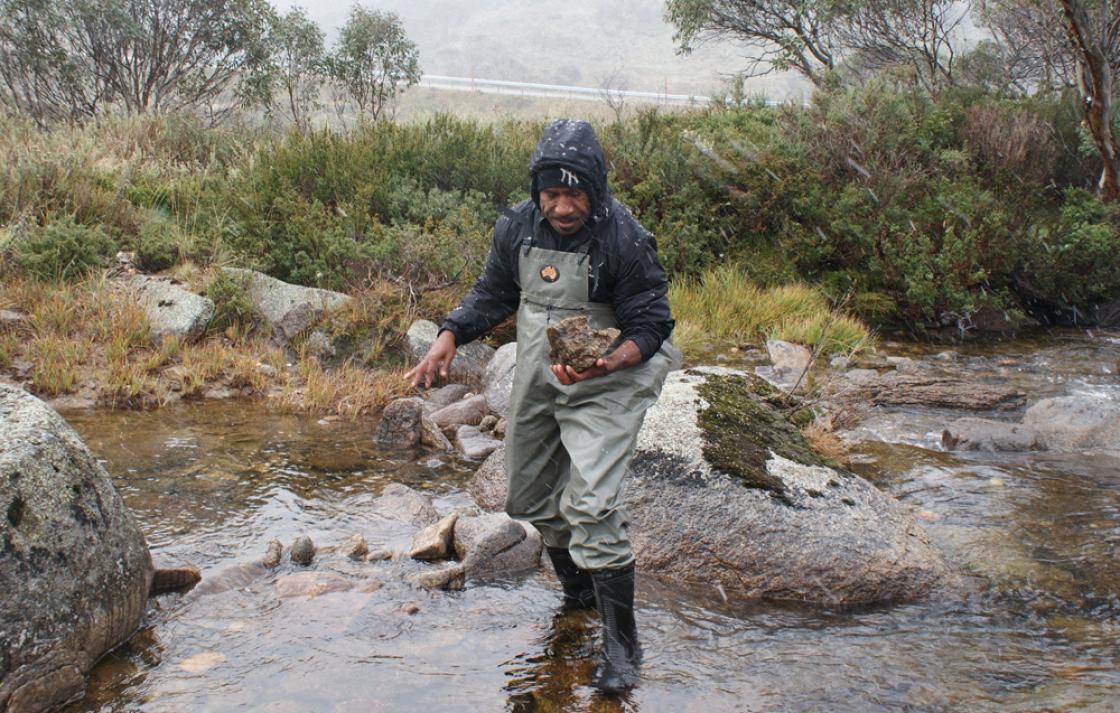 Equipment and supplies for sampling in terrestrial and aquatic ecosystems.