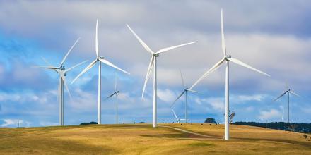 Wind turbines on NSW cattle farm