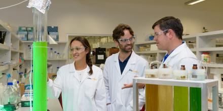 Photo of three researchers working with large test tubes of algae in the lab