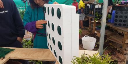 Building a green wall at Junglefy