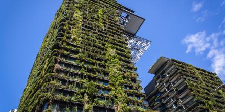 Building with greenery growing on the outside walls