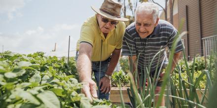 Two senior friends helping each other in the garden