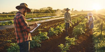 Man with clipboard tending to farm